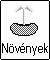 N�v�nymagok